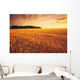 Field Of Grain Stubble Near St Adolphe, Manitoba Wall Mural
