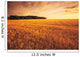 Field Of Grain Stubble Near St Adolphe, Manitoba Wall Mural
