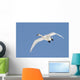 Trumpeter Swan, Lake Ontario, Ontario Wall Mural