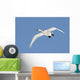 Trumpeter Swan, Lake Ontario, Ontario Wall Mural