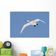 Trumpeter Swan, Lake Ontario, Ontario Wall Mural