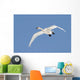 Trumpeter Swan, Lake Ontario, Ontario Wall Mural