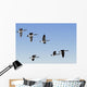 Canada Geese In Flight, Algonquin Park, Ontario Wall Mural