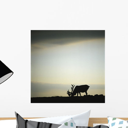 Silhouette Of A Male Caribou At Sunset Wall Mural