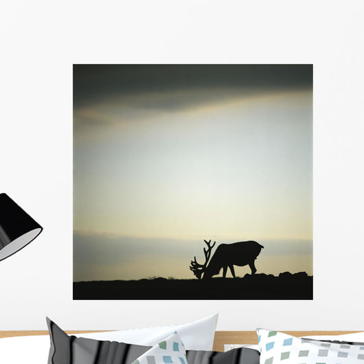 Silhouette Of A Male Caribou At Sunset Wall Mural