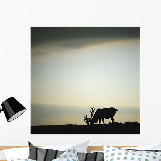 Silhouette Of A Male Caribou At Sunset Wall Mural