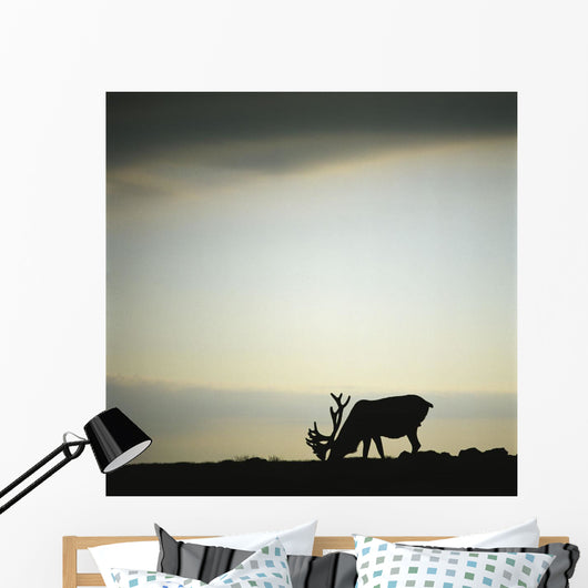 Silhouette Of A Male Caribou At Sunset Wall Mural