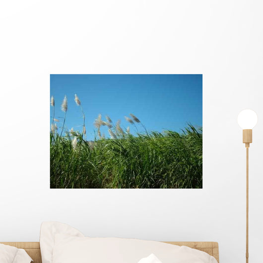 Sugar Cane Field Wall Decal