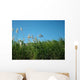 Sugar Cane Field Wall Decal