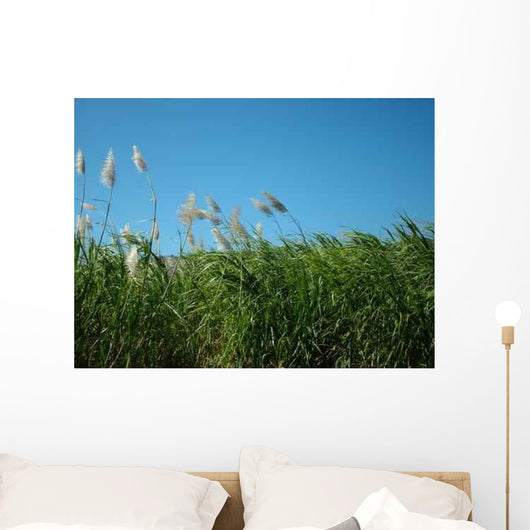 Sugar Cane Field Wall Decal