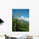 Sugar Cane Landscape Wall Decal