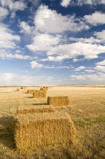 Square Hay Bales Wall Decal