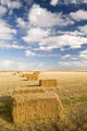 Square Hay Bales Wall Decal
