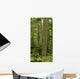 Douglas Firs And Sitka Spruce, Cathedral Grove, British Columbia Wall Mural