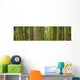 Douglas Firs And Sitka Spruce, Cathedral Grove, British Columbia Wall Mural