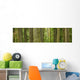 Douglas Firs And Sitka Spruce, Cathedral Grove, British Columbia Wall Mural