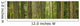 Douglas Firs And Sitka Spruce, Cathedral Grove, British Columbia Wall Mural