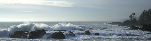Waves On Rocky Shoreline, Botany Bay, British Columbia Wall Mural