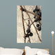 Dried Wild Grapes