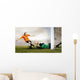 Shoot of football player and jump of goalkeeper on the field of Wall Mural