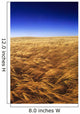 Ripening Wind-Blown Barley, Tiger Hills, Manitoba Wall Mural