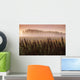 Common Dock With Aspen Trees In Fog, Near St Adolphe, Manitoba Wall Mural