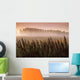 Common Dock With Aspen Trees In Fog, Near St Adolphe, Manitoba Wall Mural