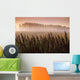 Common Dock With Aspen Trees In Fog, Near St Adolphe, Manitoba Wall Mural