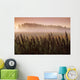 Common Dock With Aspen Trees In Fog, Near St Adolphe, Manitoba Wall Mural