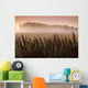 Common Dock With Aspen Trees In Fog, Near St Adolphe, Manitoba Wall Mural