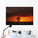 Cumulonimbus Cloud And Cottonwood Tree, Near Dugald, Manitoba Wall Mural
