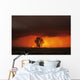 Cumulonimbus Cloud And Cottonwood Tree, Near Dugald, Manitoba Wall Mural