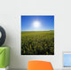 Bright Sun And Bloom Stage Mustard Field, Near Ponteix, Saskatchewan Wall Mural