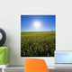Bright Sun And Bloom Stage Mustard Field, Near Ponteix, Saskatchewan Wall Mural