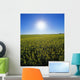 Bright Sun And Bloom Stage Mustard Field, Near Ponteix, Saskatchewan Wall Mural