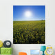 Bright Sun And Bloom Stage Mustard Field, Near Ponteix, Saskatchewan Wall Mural