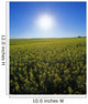 Bright Sun And Bloom Stage Mustard Field, Near Ponteix, Saskatchewan Wall Mural
