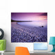 Hillside Beach, Lake Winnipeg, Manitoba Wall Mural