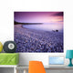 Hillside Beach, Lake Winnipeg, Manitoba Wall Mural