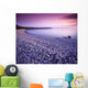 Hillside Beach, Lake Winnipeg, Manitoba Wall Mural