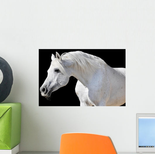 White Horse Black Wall Decal