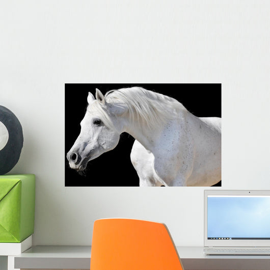 White Horse Black Wall Decal