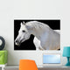 White Horse Black Wall Decal