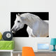 White Horse Black Wall Decal