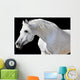 White Horse Black Wall Decal
