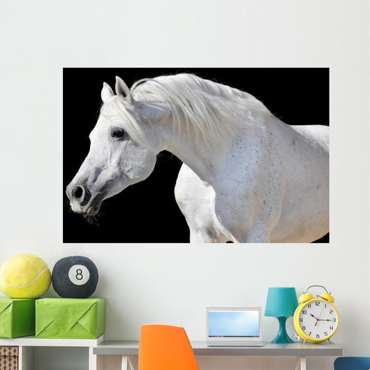 White Horse Black Wall Decal