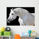 White Horse Black Wall Decal