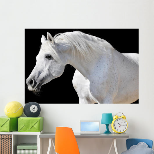 White Horse Black Wall Decal