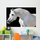 White Horse Black Wall Decal