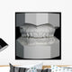 Orthodontic Study Model